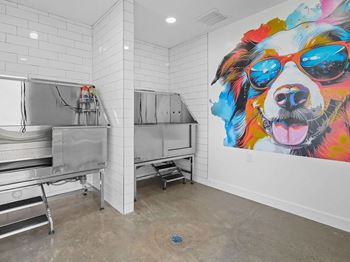 A dog with sunglasses at Lexington Park Apartments, West Valley City, UT